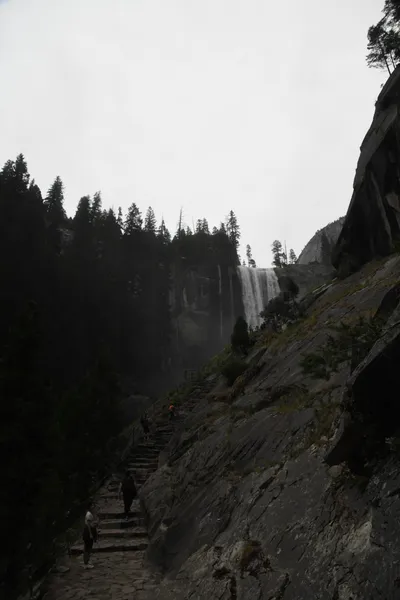 DSC_4706 (Large).JPG